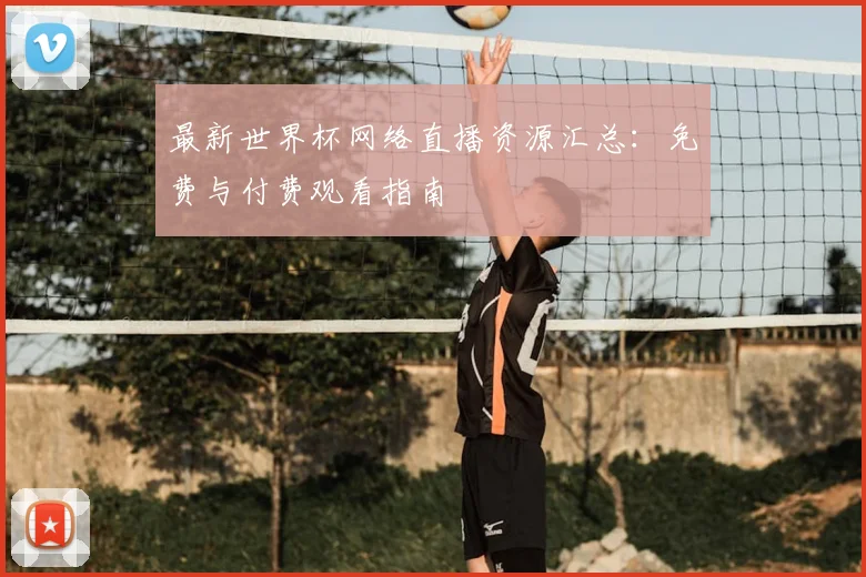 最新世界杯网络直播资源汇总:免费与付费观看指南