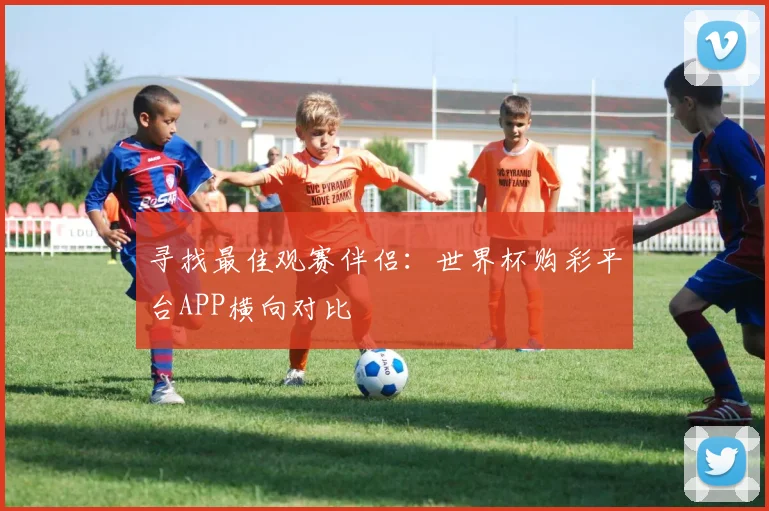 寻找最佳观赛伴侣：世界杯购彩平台APP横向对比