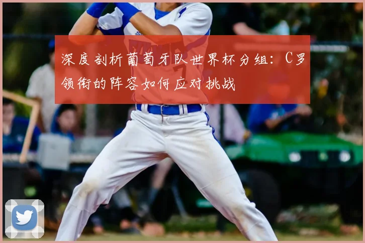 深度剖析葡萄牙队世界杯分组：C罗领衔的阵容如何应对挑战
