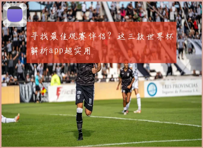 寻找最佳观赛伴侣？这三款世界杯解析app超实用