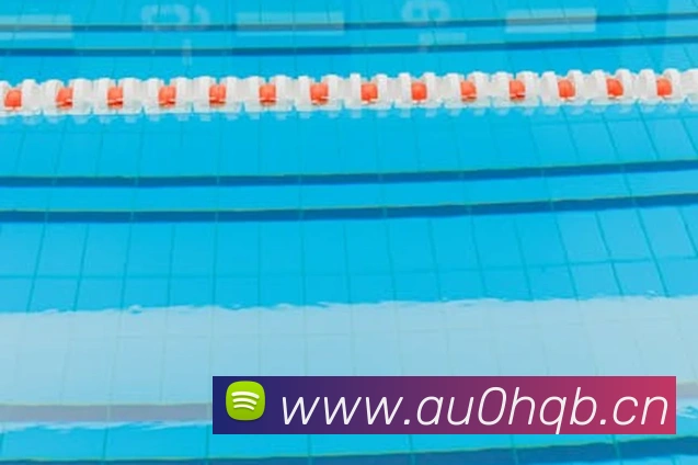 多媒体互动体验