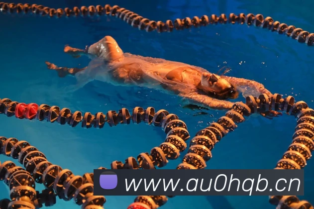 星空入口网页版官方版APP 高清赛事图